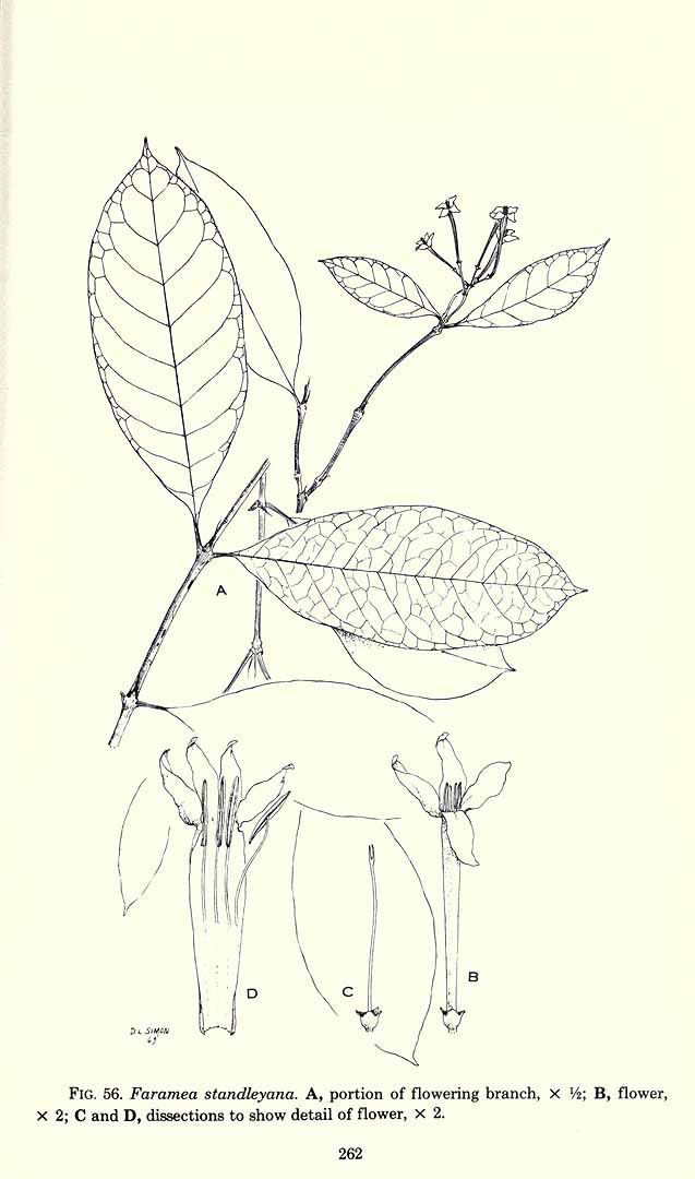 no HD illustration available (3)