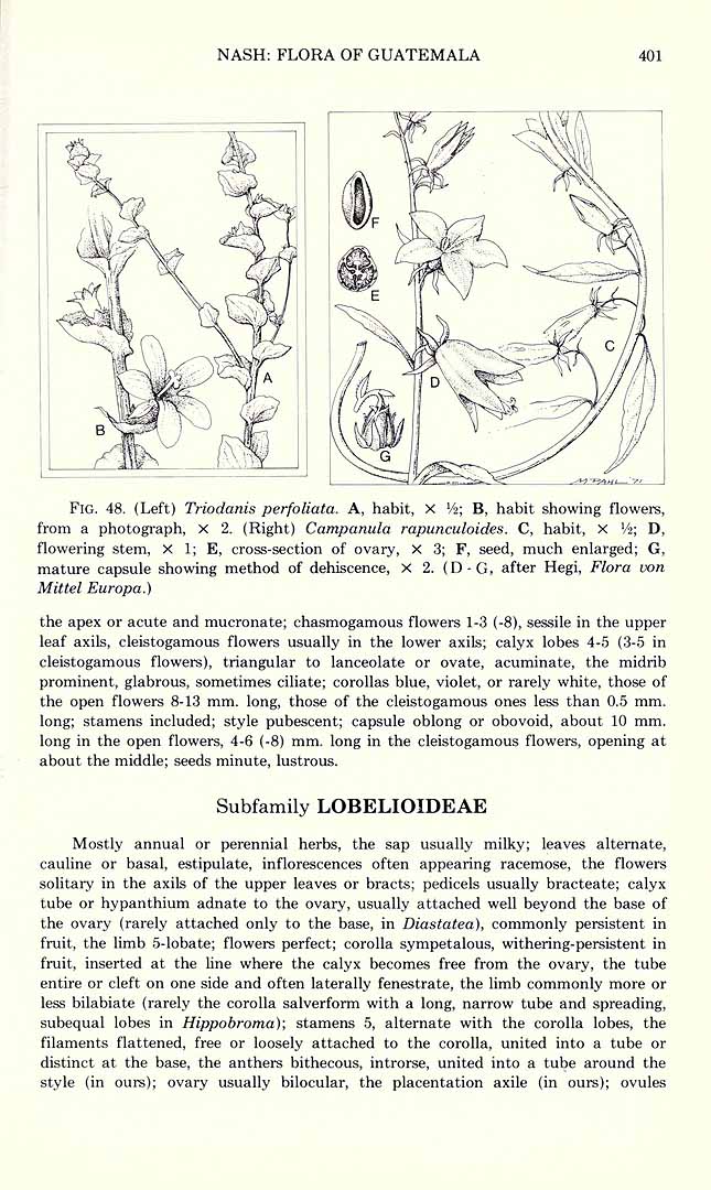 no HD illustration available (3)