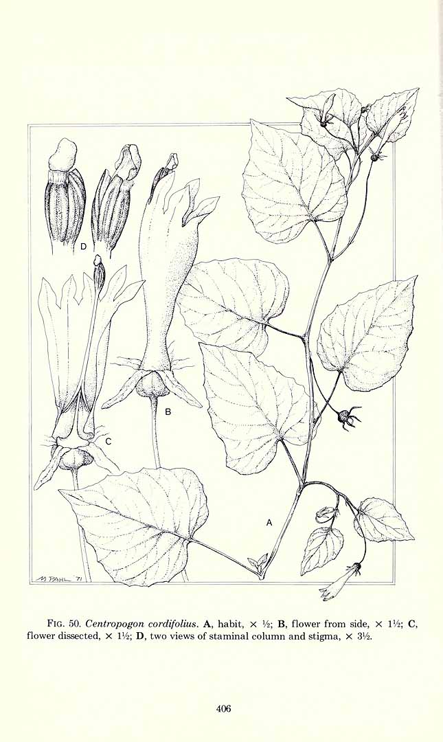 no HD illustration available (3)