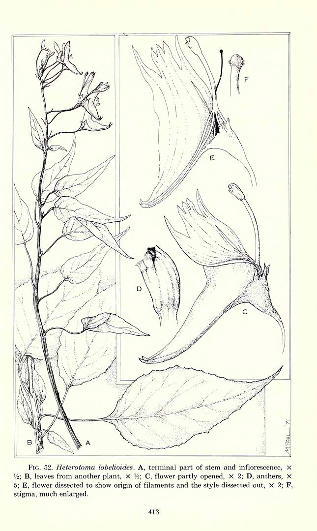no HD illustration available (3)
