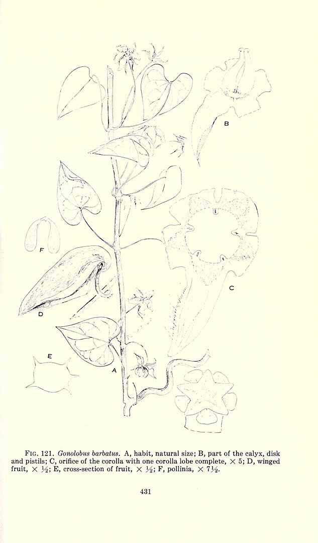 no HD illustration available (3)