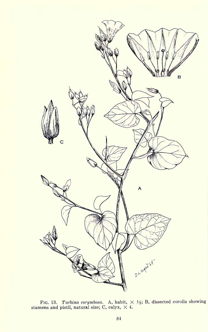 no HD illustration available (3)