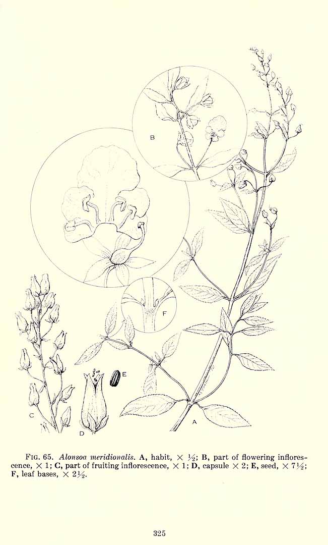 no HD illustration available (3)