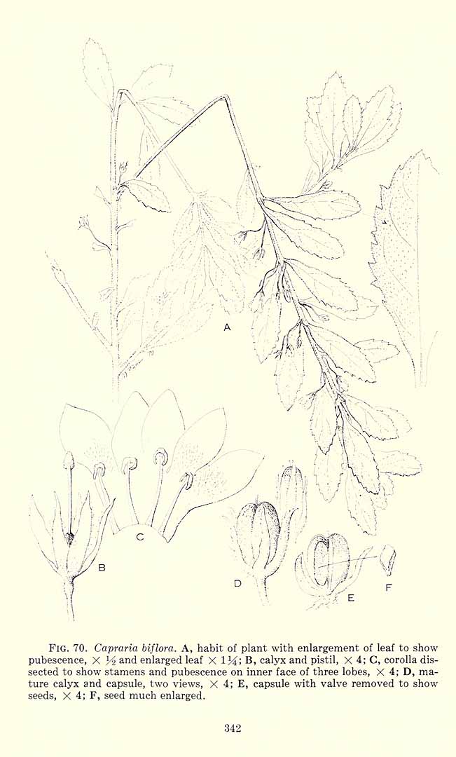 no HD illustration available (3)