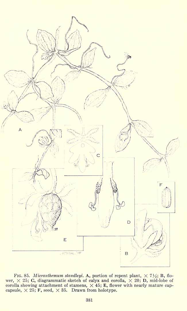 no HD illustration available (3)