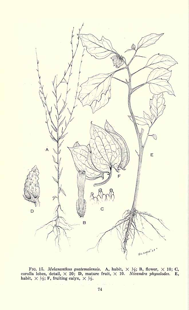 no HD illustration available (3)