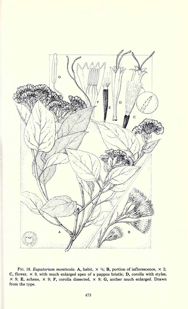 no HD illustration available (3)