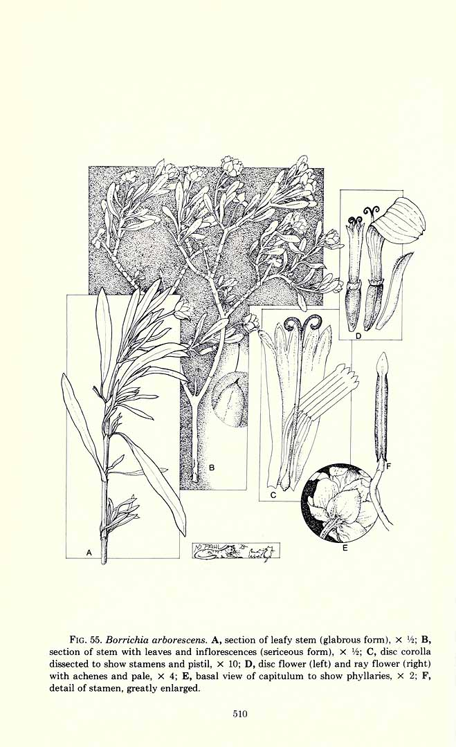 no HD illustration available (3)