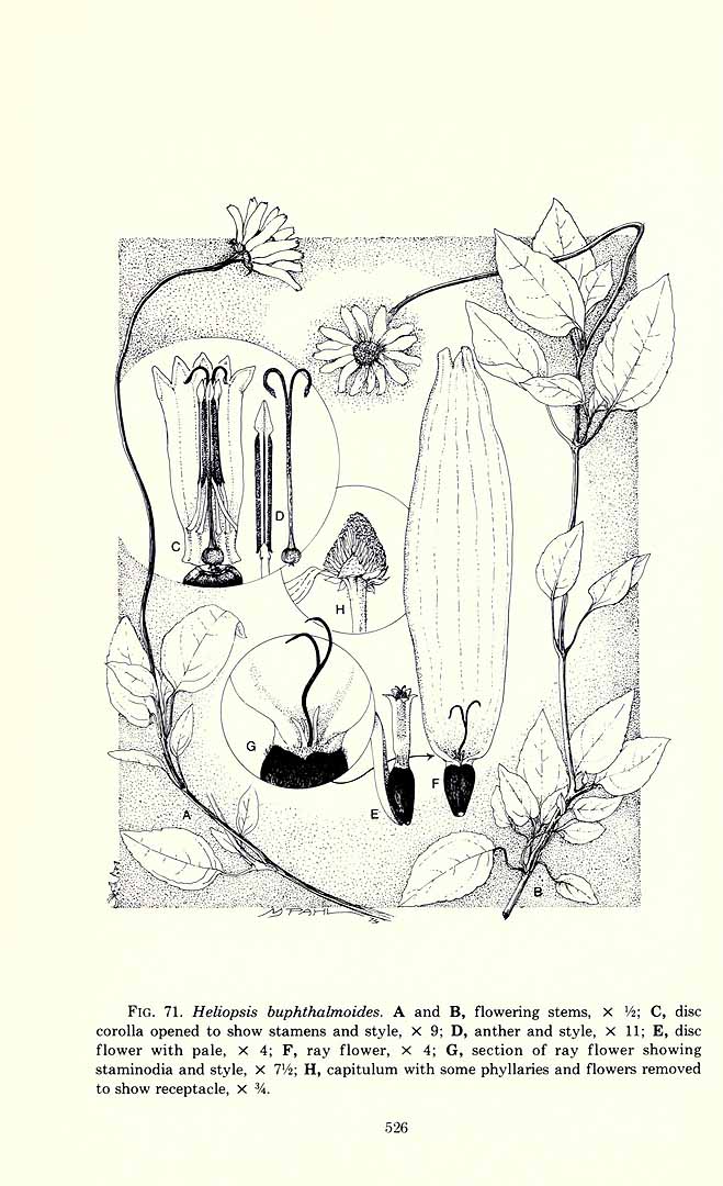 no HD illustration available (3)