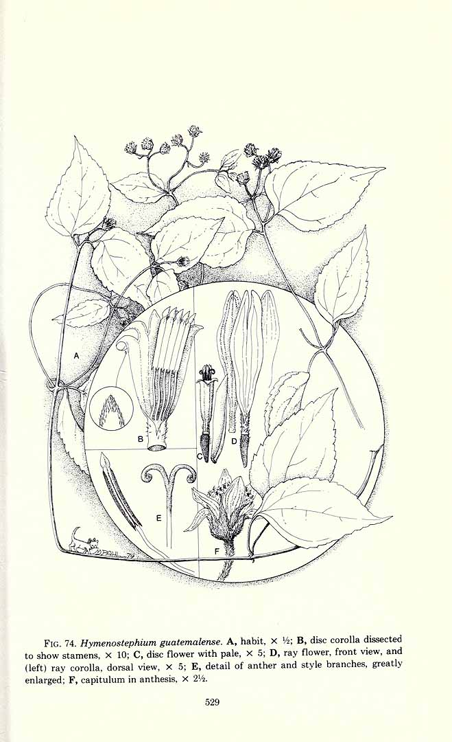 no HD illustration available (3)