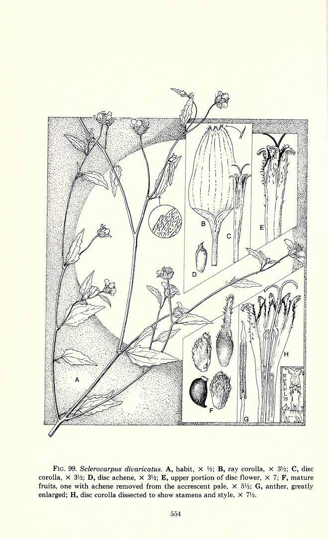 no HD illustration available (3)