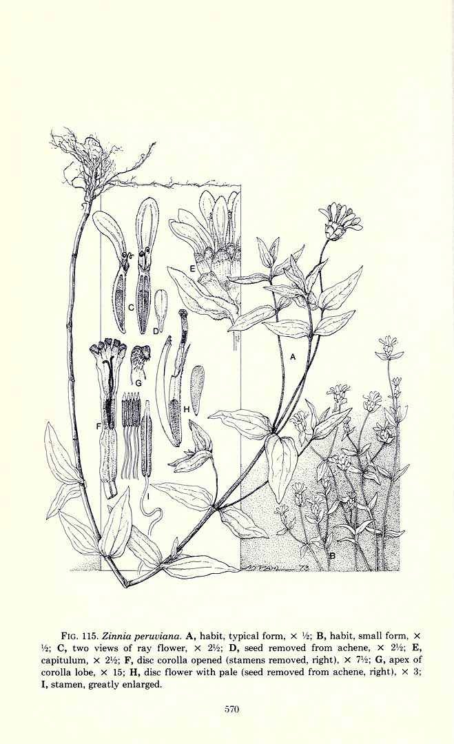 no HD illustration available (3)