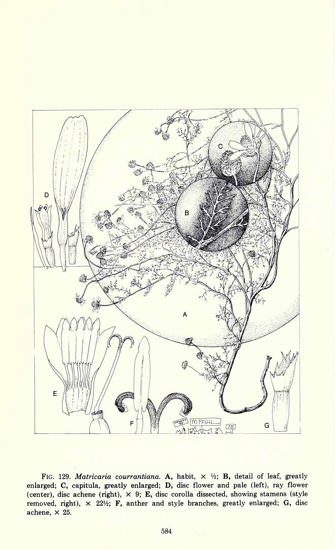 no HD illustration available (3)