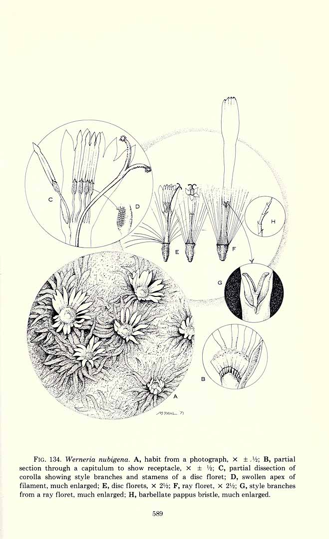 no HD illustration available (3)