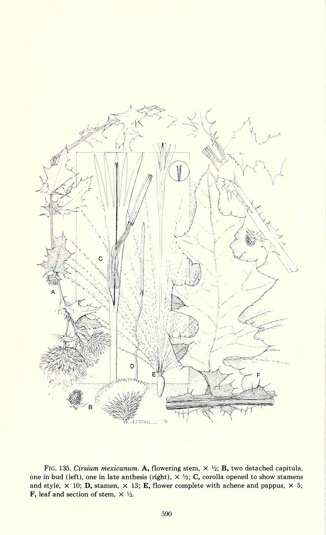 no HD illustration available (3)