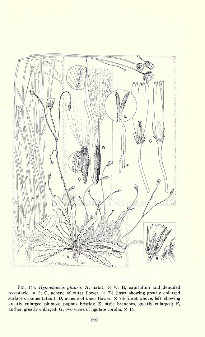 no HD illustration available (3)