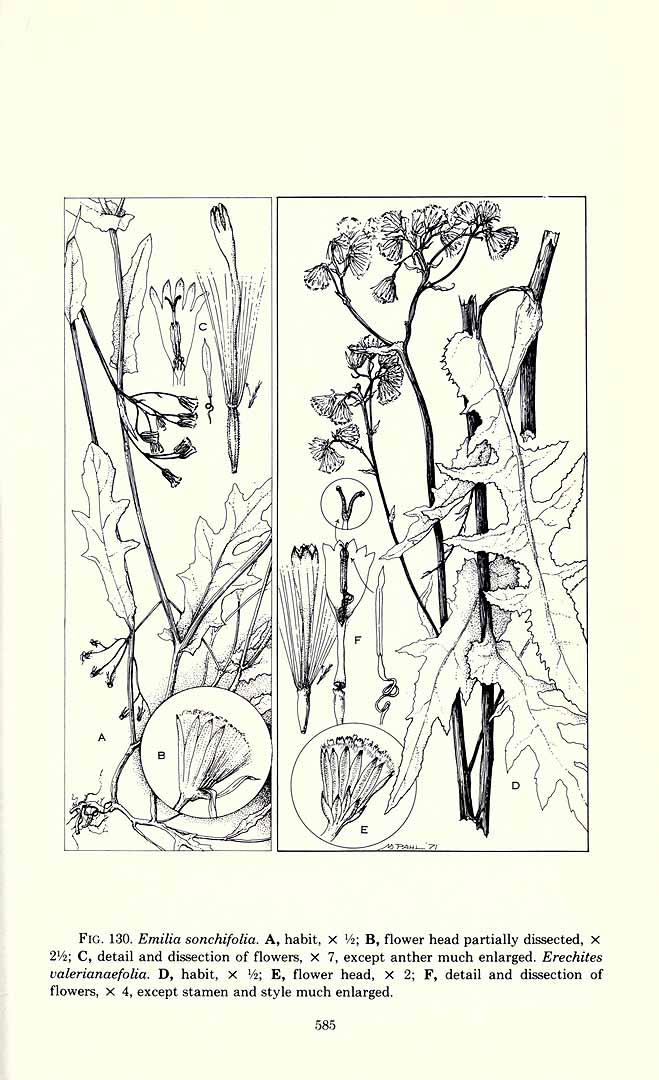 no HD illustration available (3)
