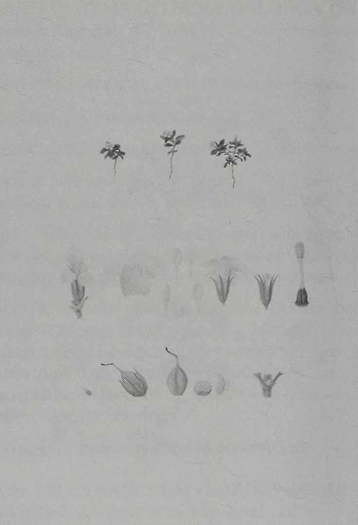 no HD illustration available (3)
