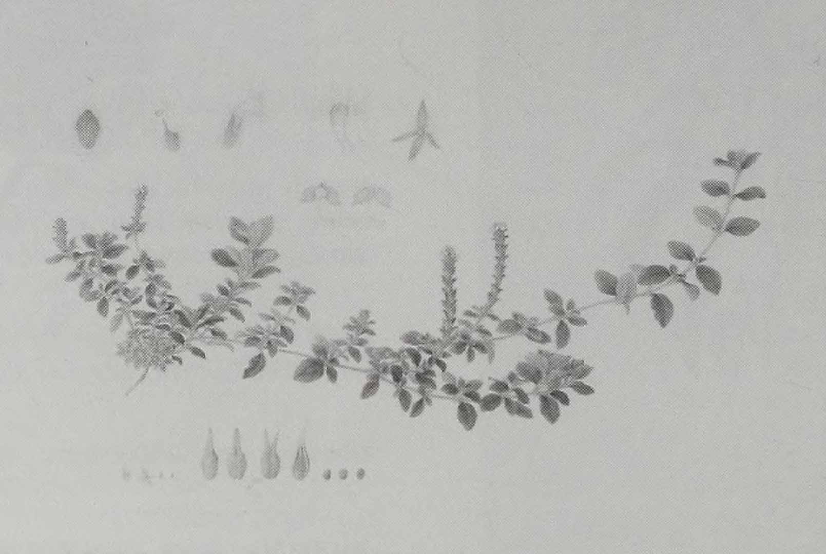 no HD illustration available (3)