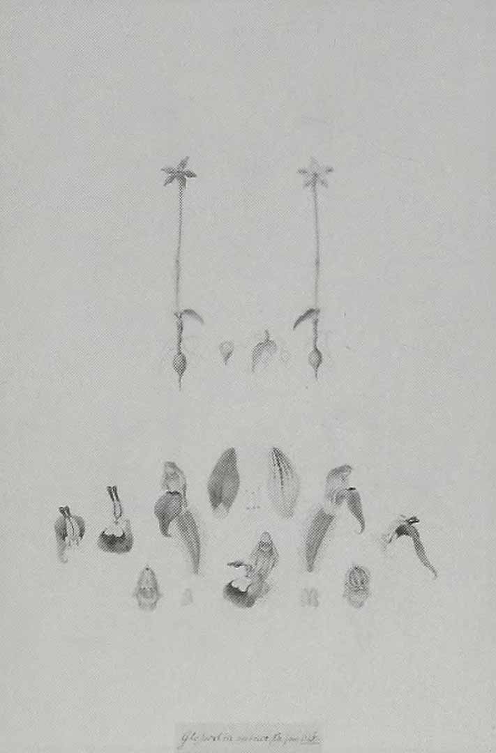 no HD illustration available (3)