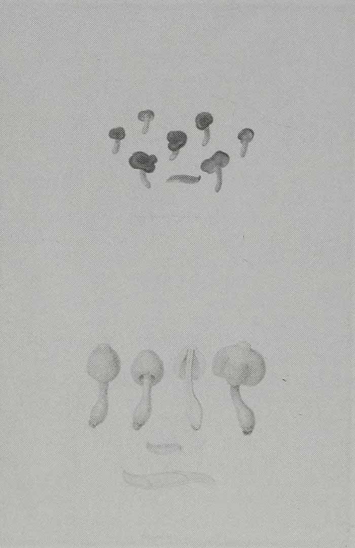 no HD illustration available (3)