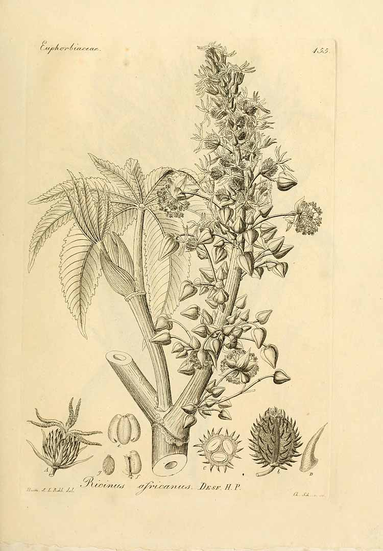 no HD illustration available (3)