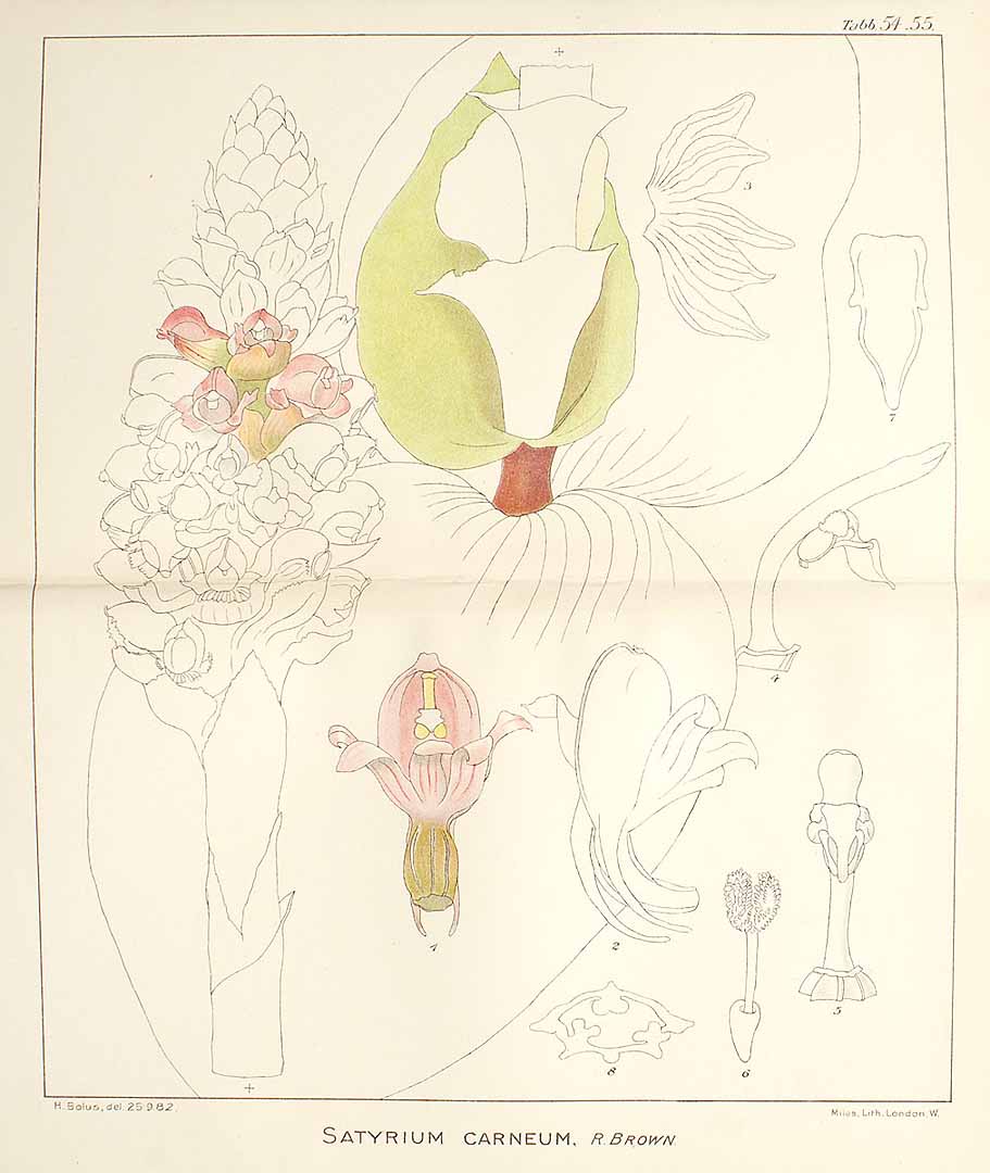 no HD illustration available (3)