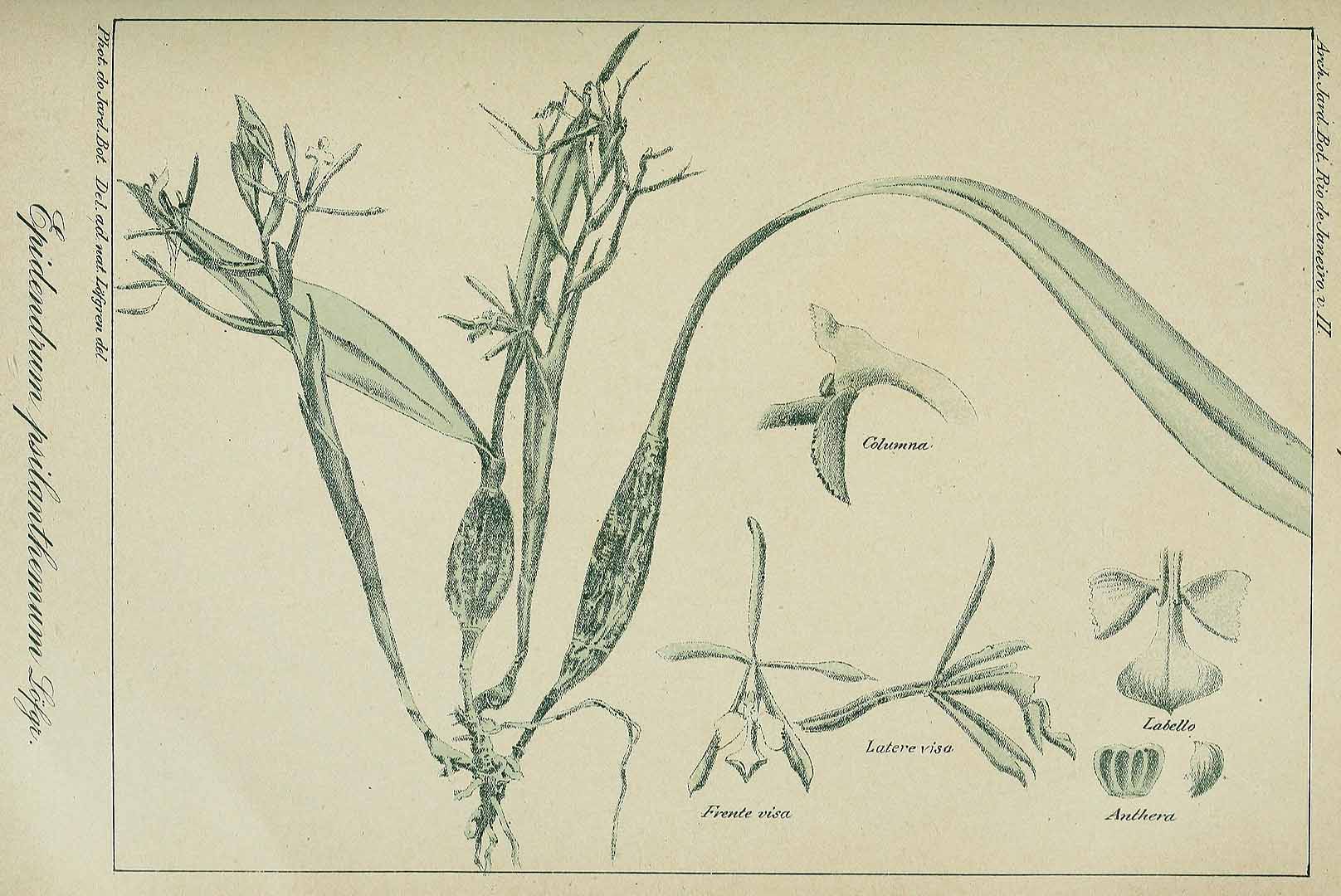no HD illustration available (m2)