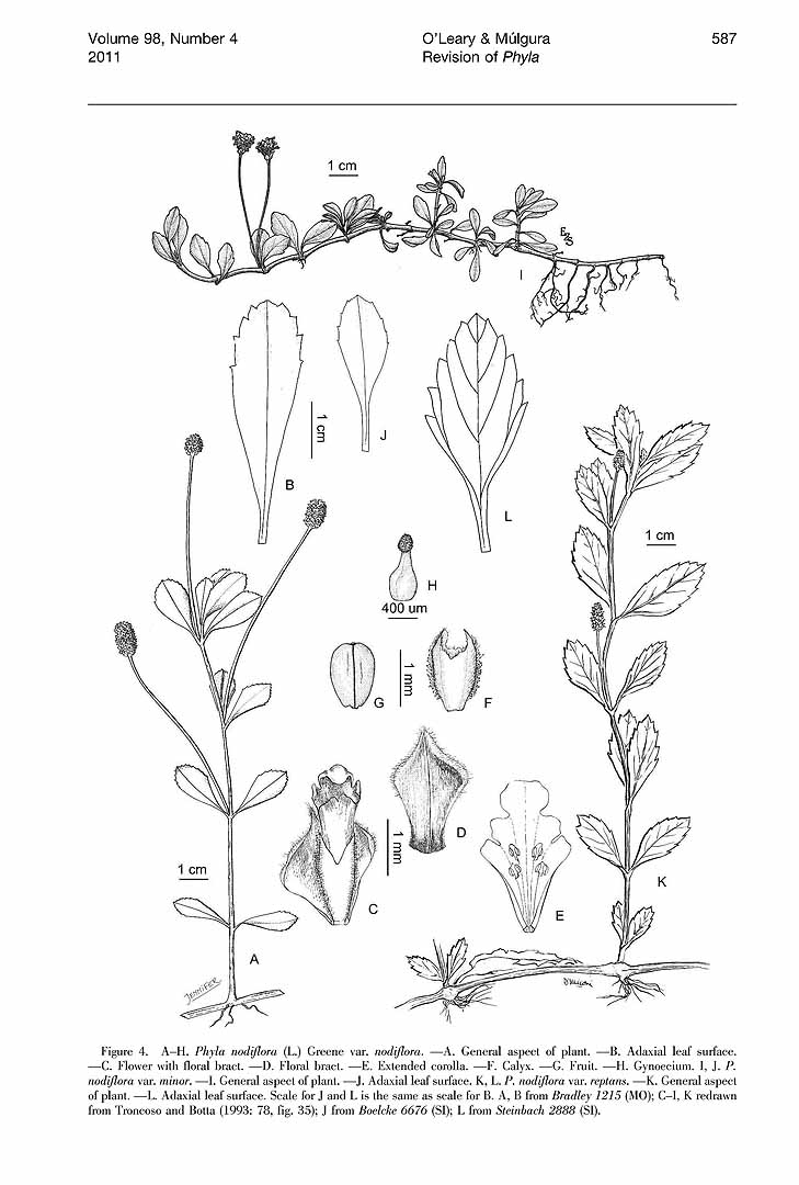 no HD illustration available (3)