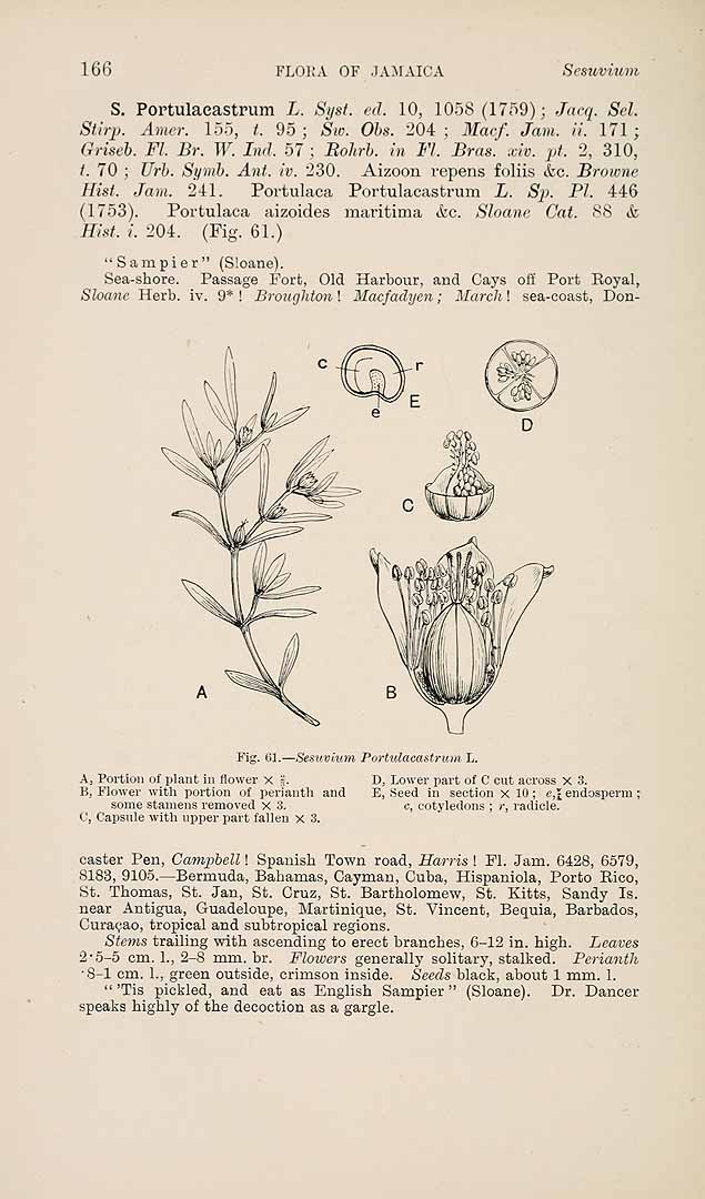 no HD illustration available (3)