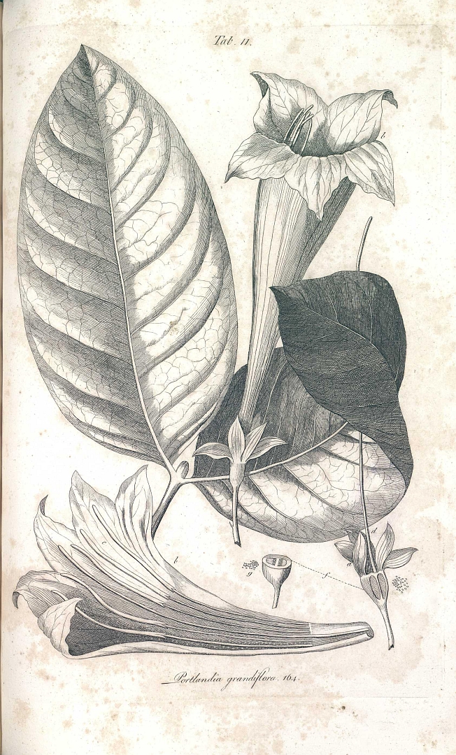 no HD illustration available (3)