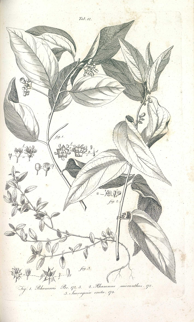 no HD illustration available (m1)
