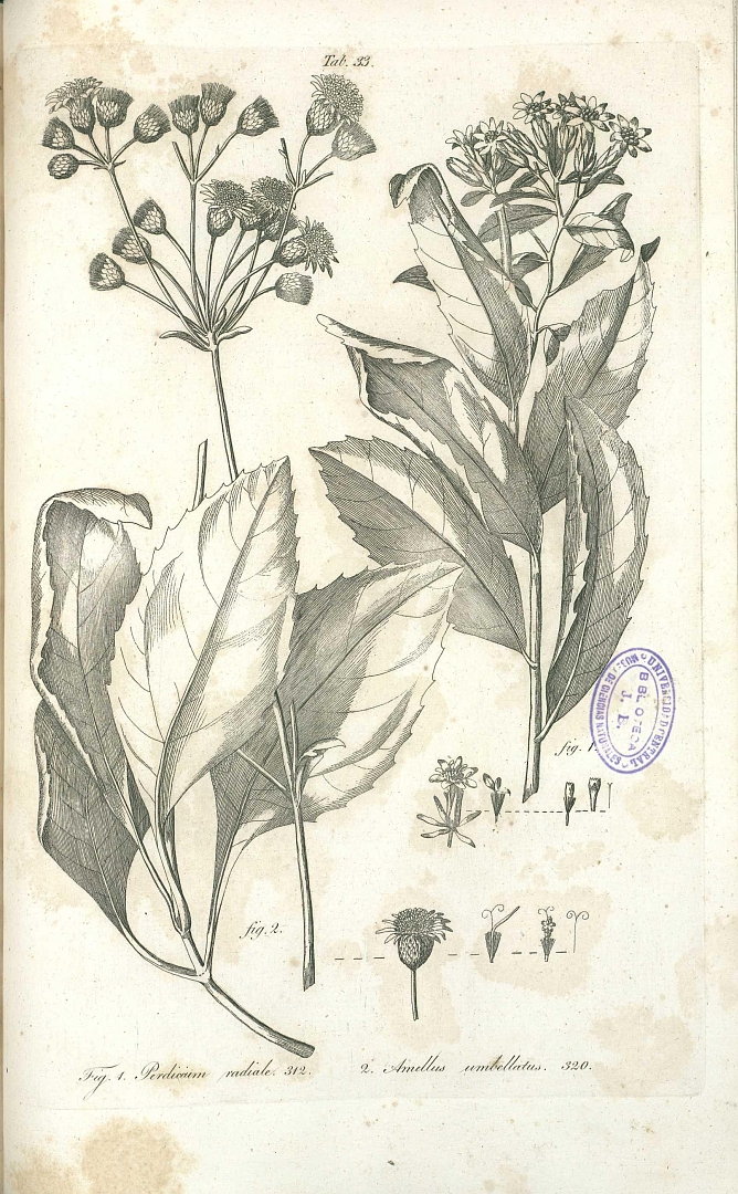 no HD illustration available (m1)