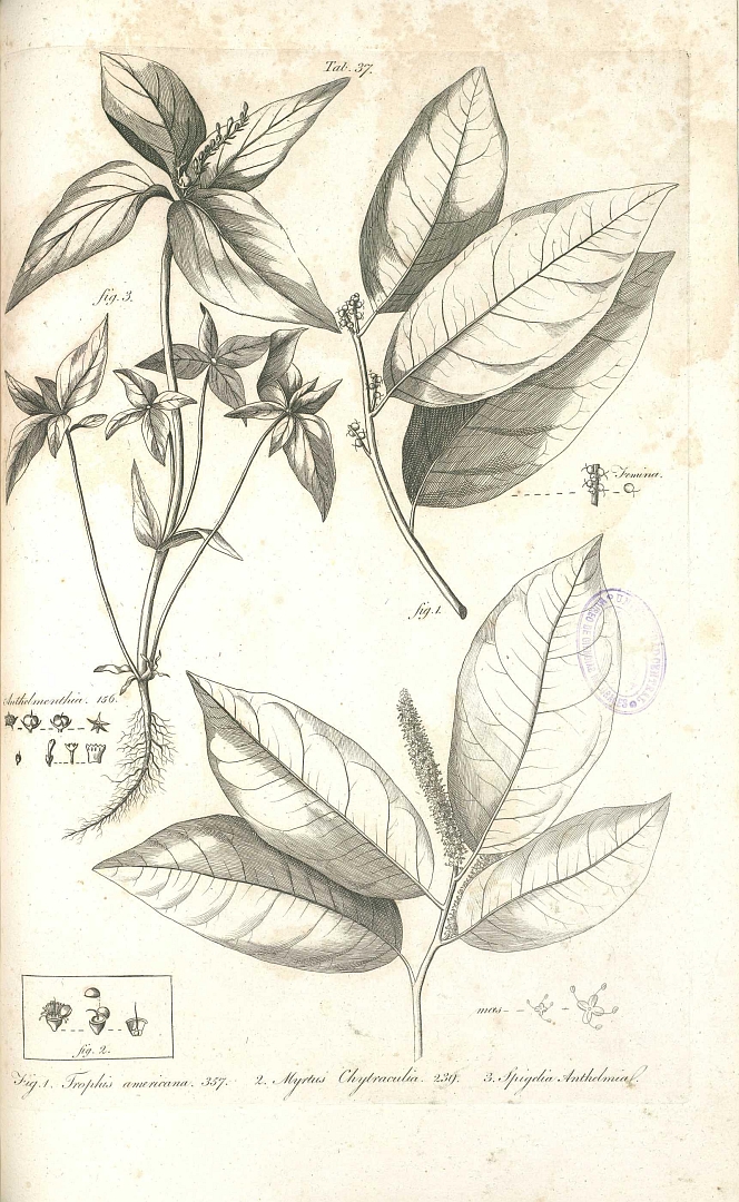 no HD illustration available (3)