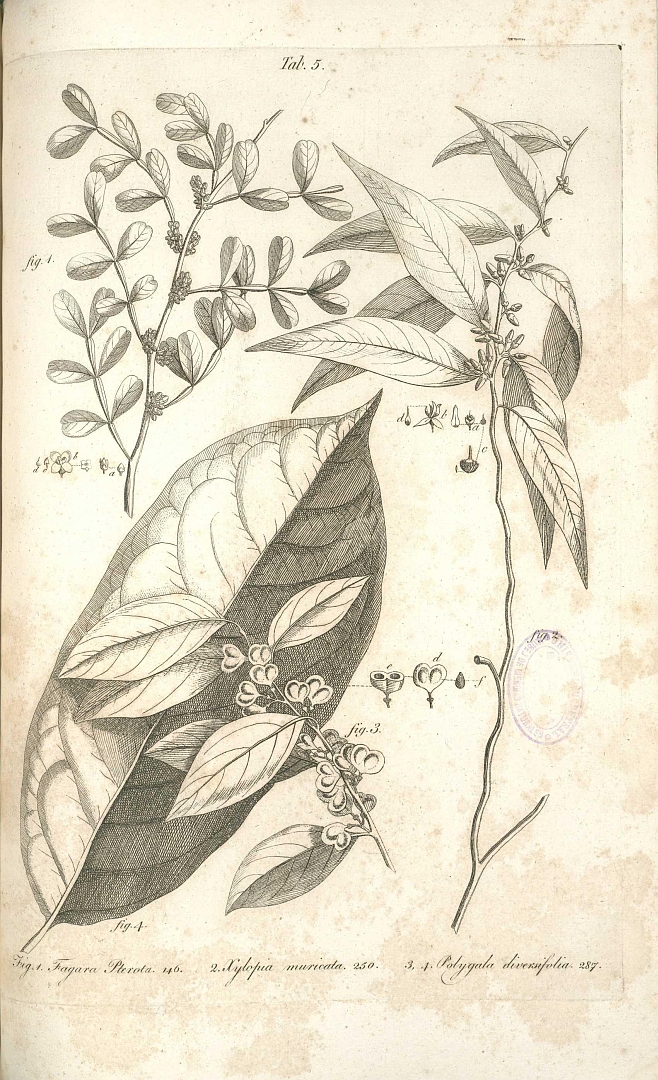 no HD illustration available (m1)