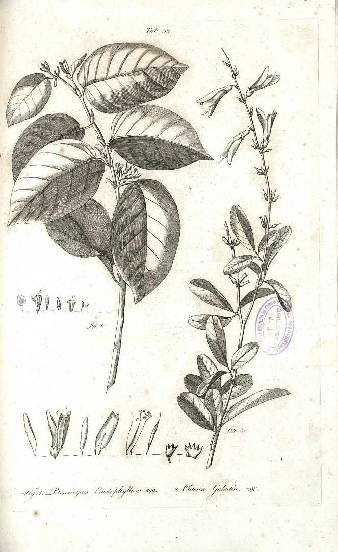 no HD illustration available (m1)
