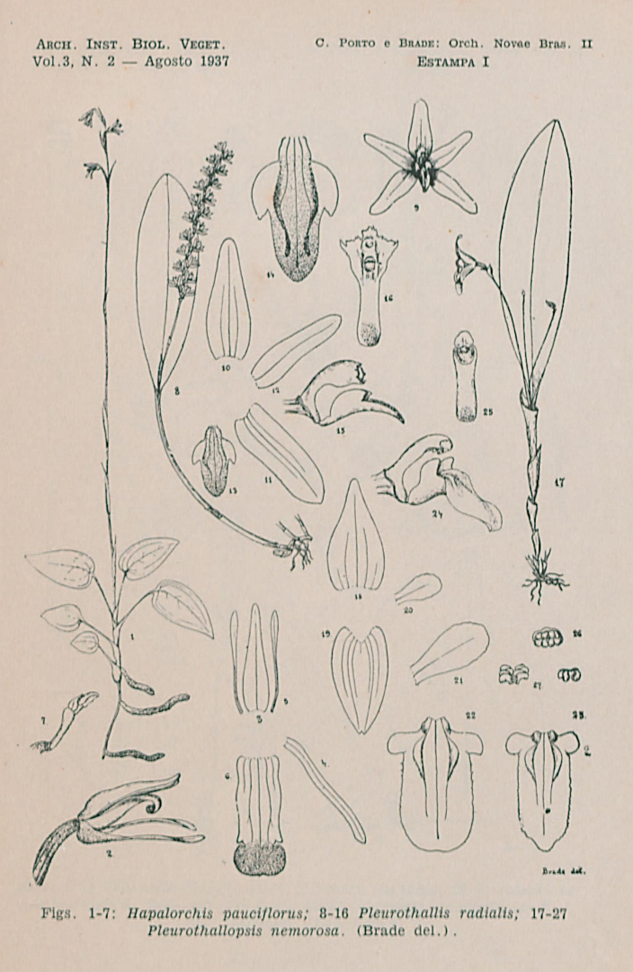no HD illustration available (3)