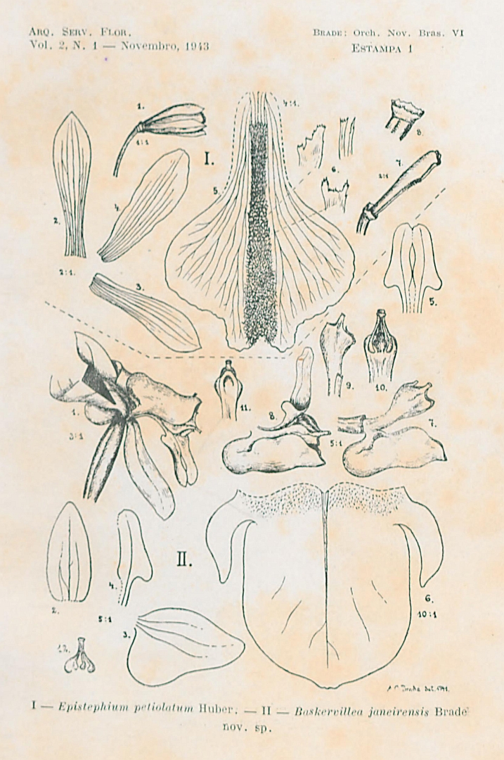 no HD illustration available (3)