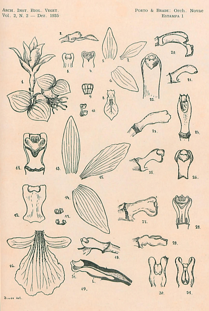 no HD illustration available (3)