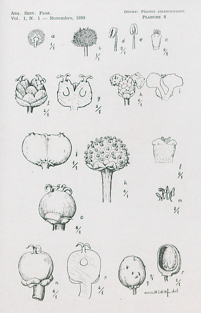 no HD illustration available (3)