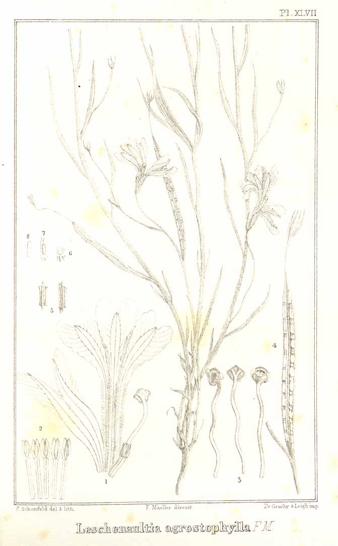 no HD illustration available (3)