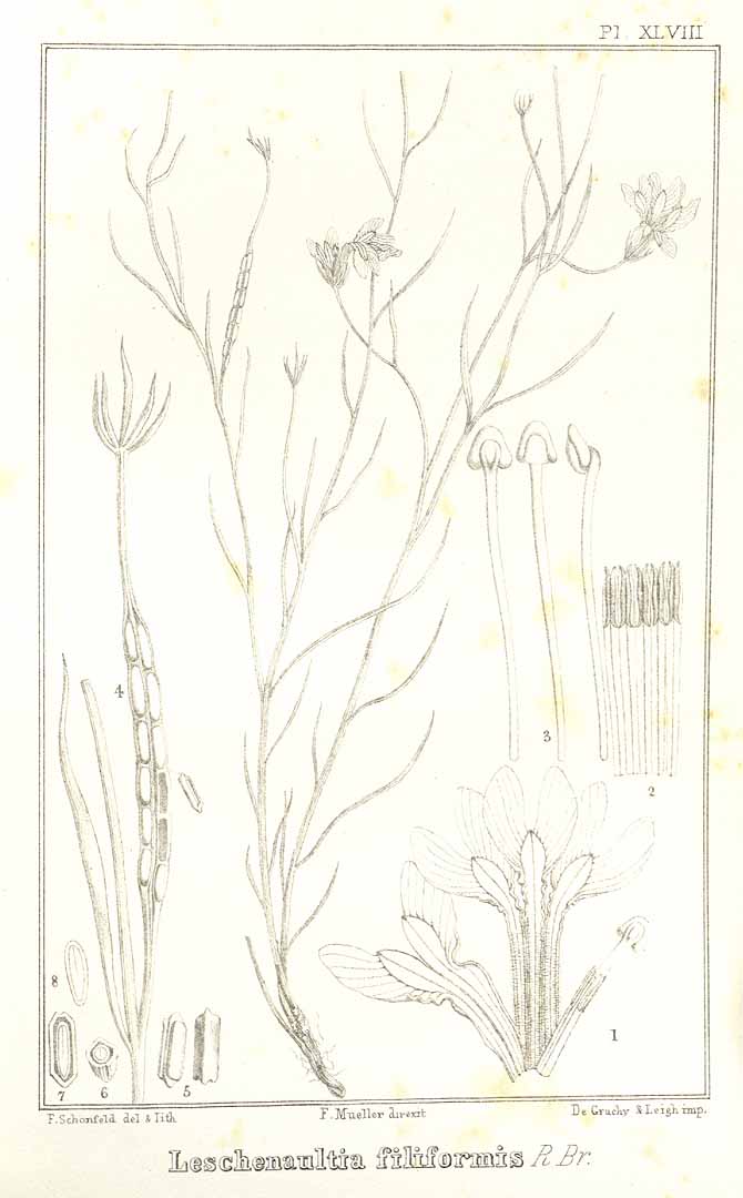 no HD illustration available (3)