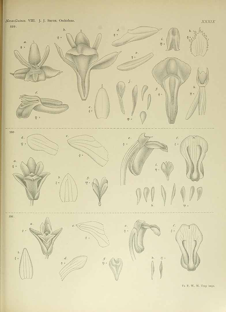 no HD illustration available (3)