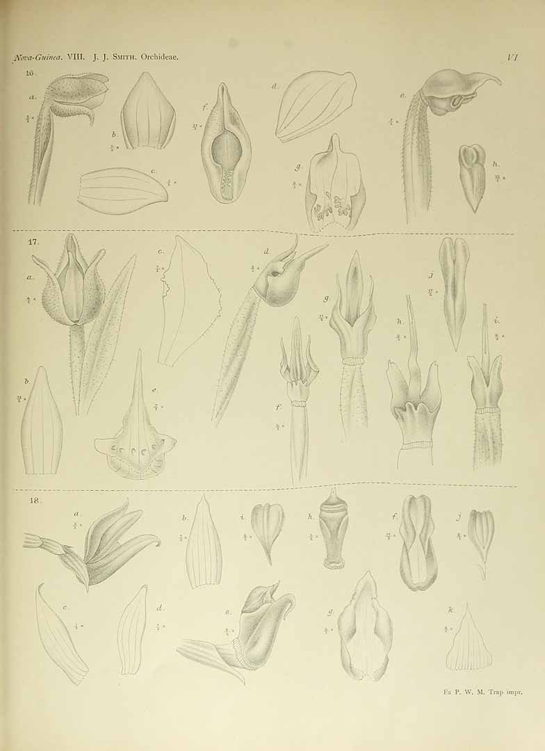 no HD illustration available (3)