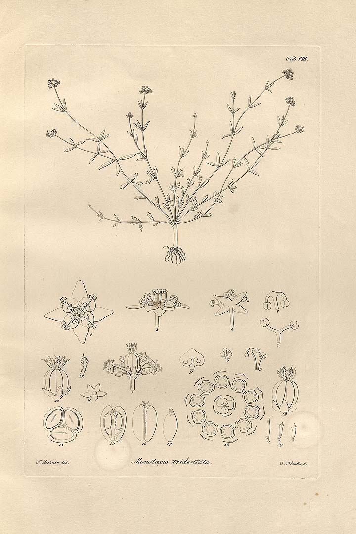 no HD illustration available (3)
