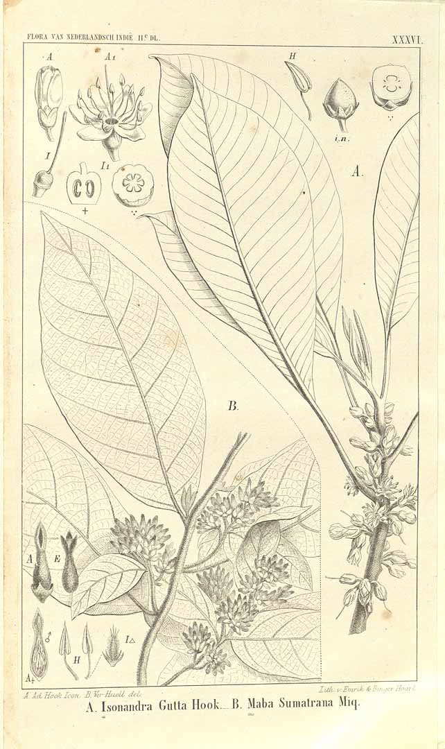 no HD illustration available (3)