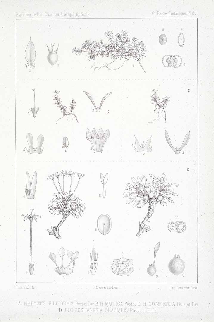 no HD illustration available (3)