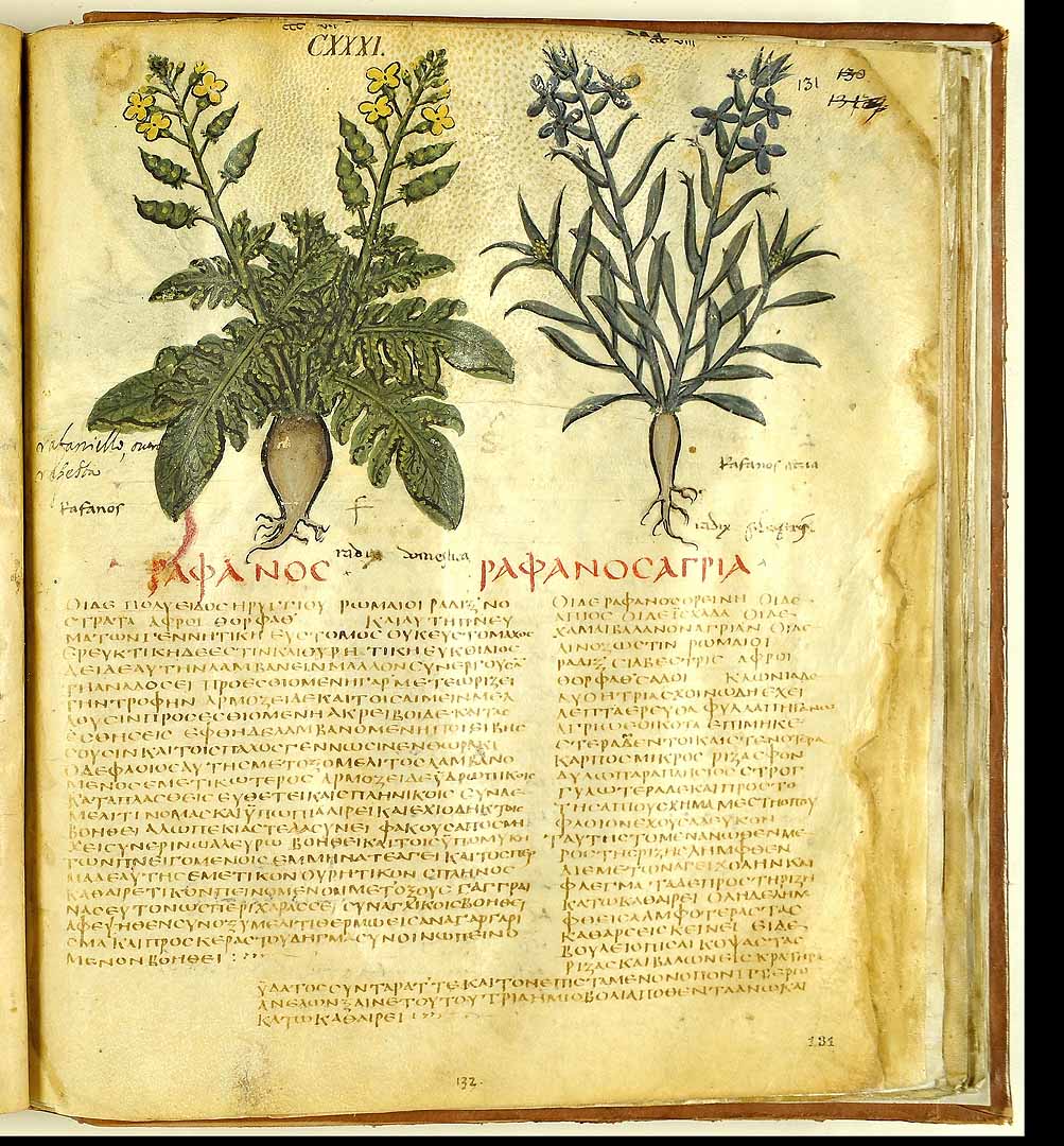 no HD illustration available (3)