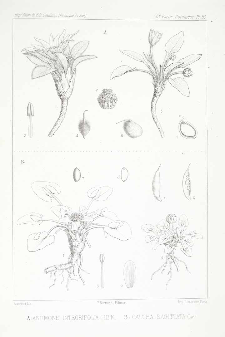 no HD illustration available (3)