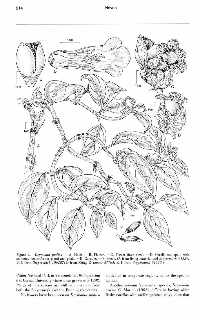 no HD illustration available (3)